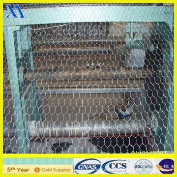 2015 Hot Sale Hex Wire Mesh for Animal (XA-HM1)